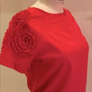 ZARA basic red blouse